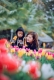 THƠ - LỜI RU CỦA MẸ
