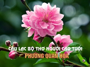 CÂU LẠC BỘ THƠ BAN MAI