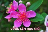 EM TRẦN THÁI AN