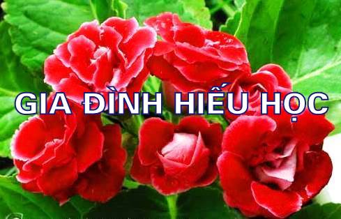 GIA ĐÌNH HIẾU HỌC