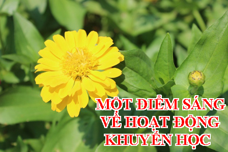 MỘT ĐIỂM SÁNG VỀ HOẠT ĐỘNG KHUYẾN HỌC