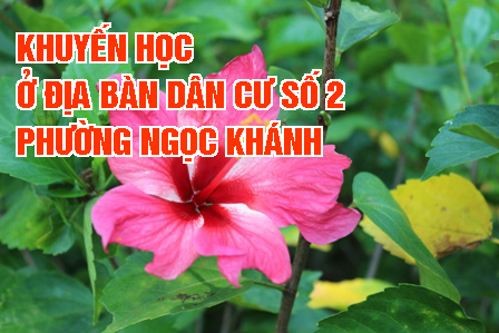 CÔNG TÁC KHUYẾN HỌC NĂM 2015 CỦA  ĐỊA BÀN DÂN CƯ SỐ 2 VẪN ĐƯỢC GIỮ VỮNG VÀ PHÁT TRIỂN