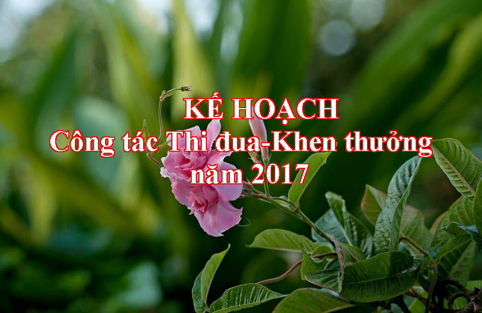 KẾ HOẠCH Công tác Thi đua-Khen thưởng năm 2017