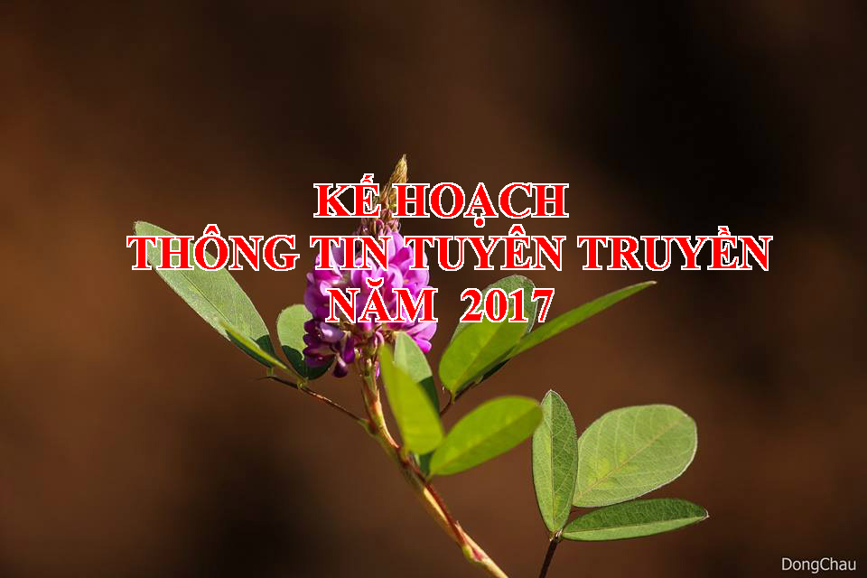 KẾ HOẠCH  THÔNG TIN TUYÊN TRUYỀN NĂM  2017