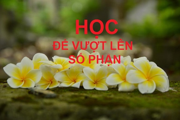 HỌC ĐỂ VƯỢT LÊN SỐ PHẬN