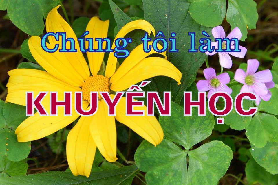 CHÚNG TÔI LÀM KHUYẾN HỌC