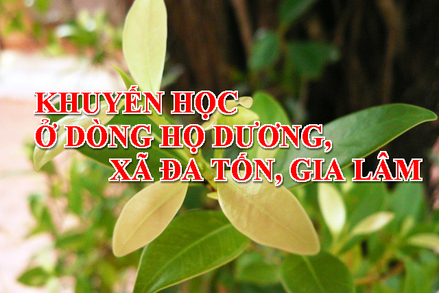 CÔNG TÁC KHUYẾN HỌC Ở DÒNG HỌ DƯƠNG XÃ ĐA TỐN