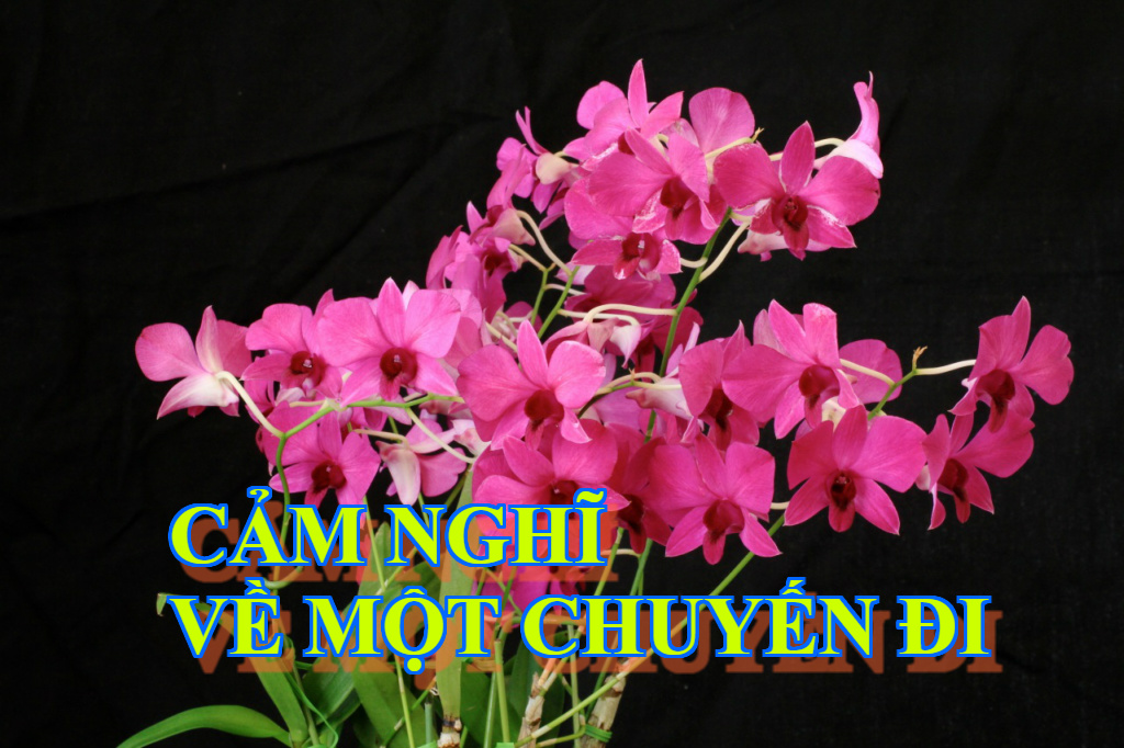 CẢM NGHĨ VỀ MỘT CHUYẾN ĐI