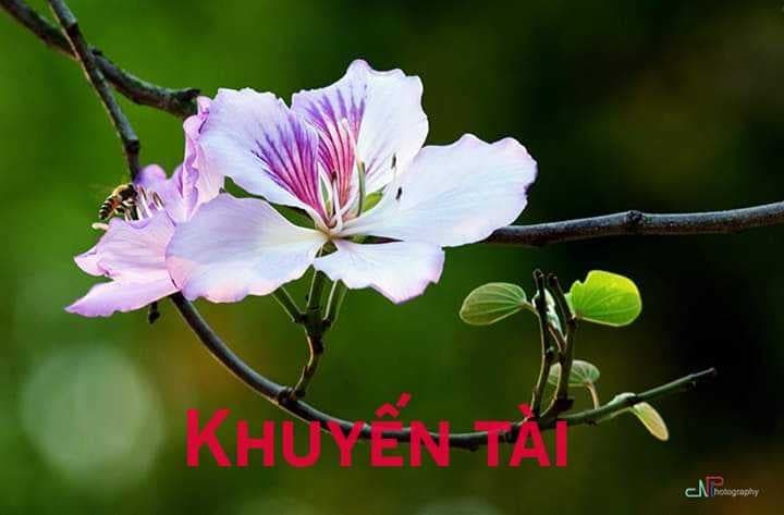 KHUYẾN TÀI