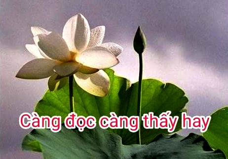 CÀNG ĐỌC CÀNG THẤY HAY