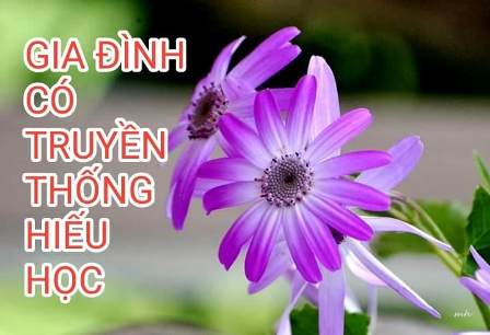 GIA ĐÌNH CÓ TRUYỀN THỐNG HIẾU HỌC