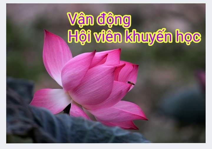 VẬN ĐỘNG HỘI VIÊN KHUYẾN HỌC