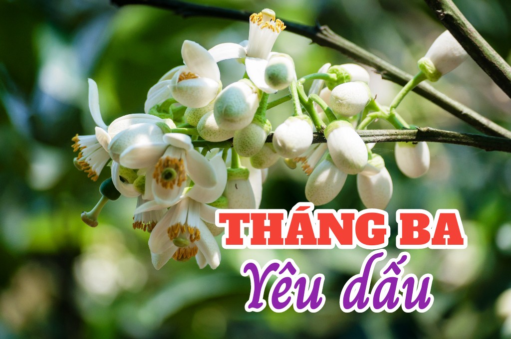 THÁNG BA YÊU DẤU