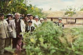 TRỞ LẠI LÀNG SEN