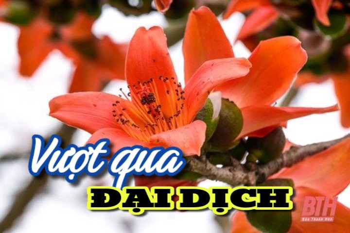 VƯỢT QUA ĐẠI DỊCH