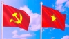 THƠ - THU VỀ CÚC NỞ ĐUA HƯƠNG