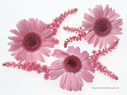 THI ĐUA KHUYẾN HỌC